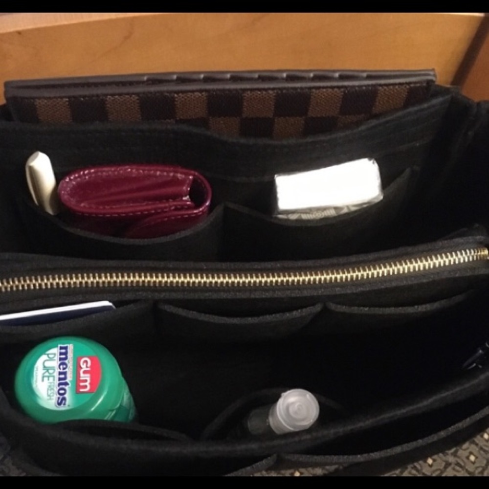 Purse Tote Speedy 30 medium zip case  Protector